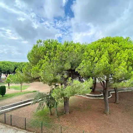 El Palmito Au Bord De La Daire